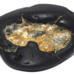 Shuddha Narsimha Shaligram