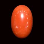 Red Coral - 11.14 Carats