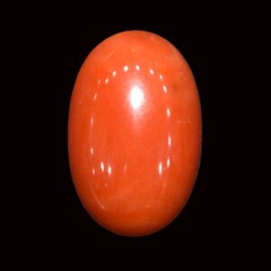 Red Coral - 11.14 Carats