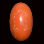Red Coral - 12.25 Carats
