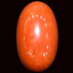 Red Coral - 13.46 Carats