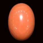 Red Coral - 15.31 Carats
