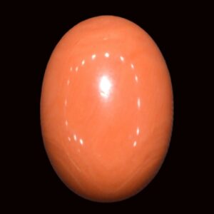 Red Coral - 15.31 Carats