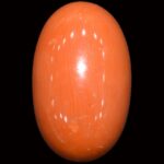 Red Coral - 16.20 Carats