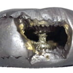 Laxmi Narsimha Shaligram