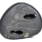 Janardhana Shaligram