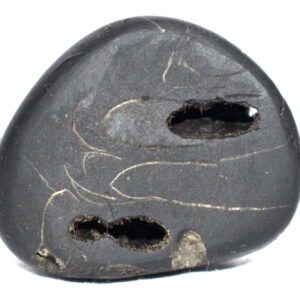 Janardhana Shaligram