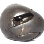 Janardhana Shaligram