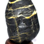 Sacred Adwaitya Tripurna Shiva Shashidhara Shaligram