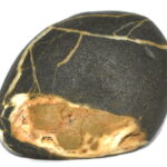 Sacred Yellow Shreedhara Jagannath Janeudhari Vaman Shaligram
