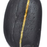 Adwaitya Shweta Radha Krishna Paduka Shaligram
