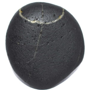 Sacred Adwaitya Shashidhara Shaligram
