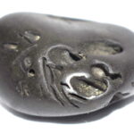 Shankara Narayana Shaligram