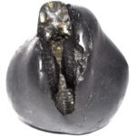 Sacred Adwaitya Golden Bhur Bhavas Gayatri Kalpavriksha Kamal Mahalaxmi Shaligram