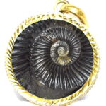 Golden Sudarshan Shaligram Pendant