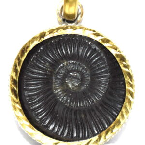 Golden Sudarshan Shaligram Pendant