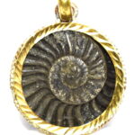 Golden Sudarshan Shaligram Pendant