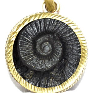 Golden Sudarshan Shaligram Pendant