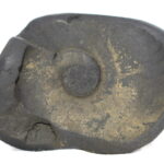 Laxmi Sudarshan Shaligram