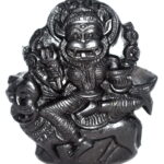 Pratyangira Devi Murti on Natural Golden Sudarshan Shaligram