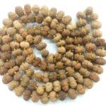 13 Mukhi Rudraksha Mala - 108+1 Beads
