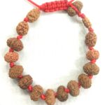 Rudraksha Siddha Bracelet