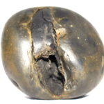 Adwaitya Golden Bhur Bhavas Gayatri Vaikuntha Shaligram