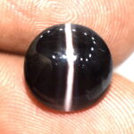 Cats Eye - 6.64 Carats
