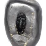 Sacred Adwaitya Golden Bhadra Chamunda Mahakali Shaligram