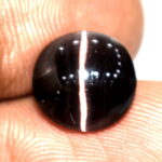 Cats Eye - 4.78 Carats