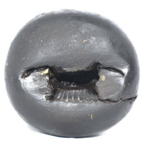 Parijatahara Krishna Shaligram