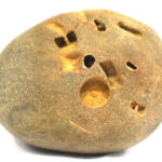 Vishvaksena Shaligram