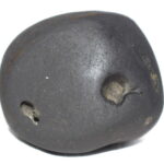 Pitamaha Shaligram