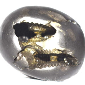 Sita Rama Shaligram