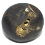 SankarShana Shaligram