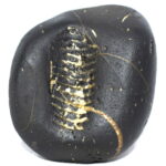 Sarvottam Yellow Laxmi Venkateshwara Shaligram