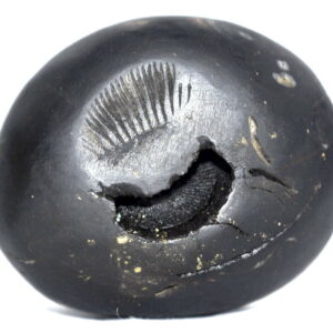 Govardhana Gopala Shaligram