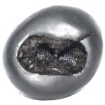 DamshtriKarala Narsimha Shaligram