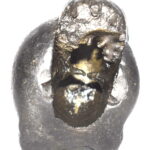Sacred Adwaitya Tara Dasha Maha Vidya Shaligram