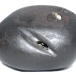 RajaRajeshwara Shaligram