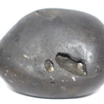 Ananta Shaligram