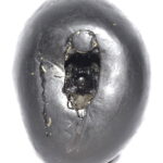 Sacred Adwaitya Golden Maa KaalRatri Navdurga Shaligram