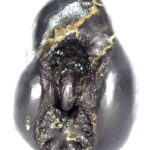 Sacred Adwaitya Golden Bhadra Chamunda Mahakali Shaligram