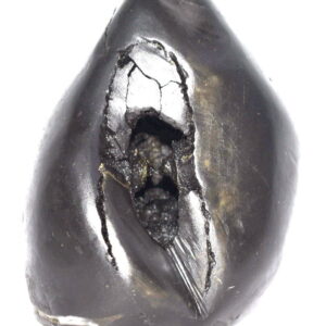 Sacred Adwaitya Golden Maa Chandraghanta Navdurga Shaligram