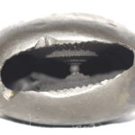 Varaha Shaligram / Urvi Varaha Salagram