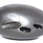 Surya Shaligram