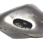 Laxmi Gopala Shaligram