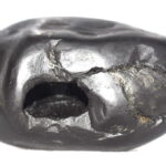 Vishnu Shaligram