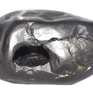 Vishnu Shaligram
