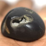 Dhananjaya Shaligram